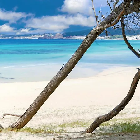 Alchimia By Amarena Collection Apartament *