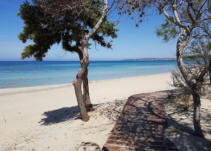 Alchimia By Amarena Collection Apartament *