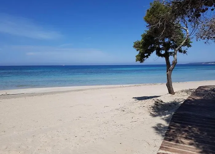 Alchimia By Amarena Collection