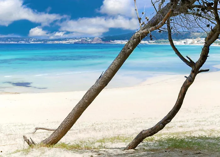 Alchimia By Amarena Collection Apartament *